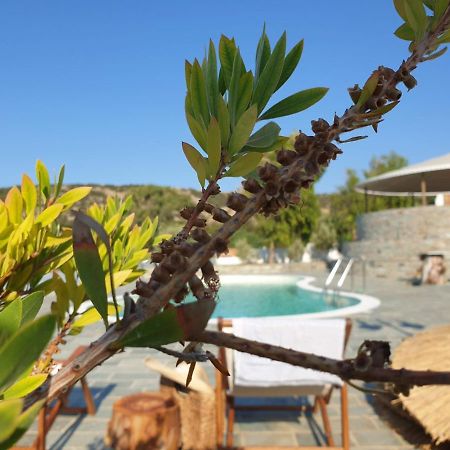 Anassa Cycladic Village Galissas Exterior foto
